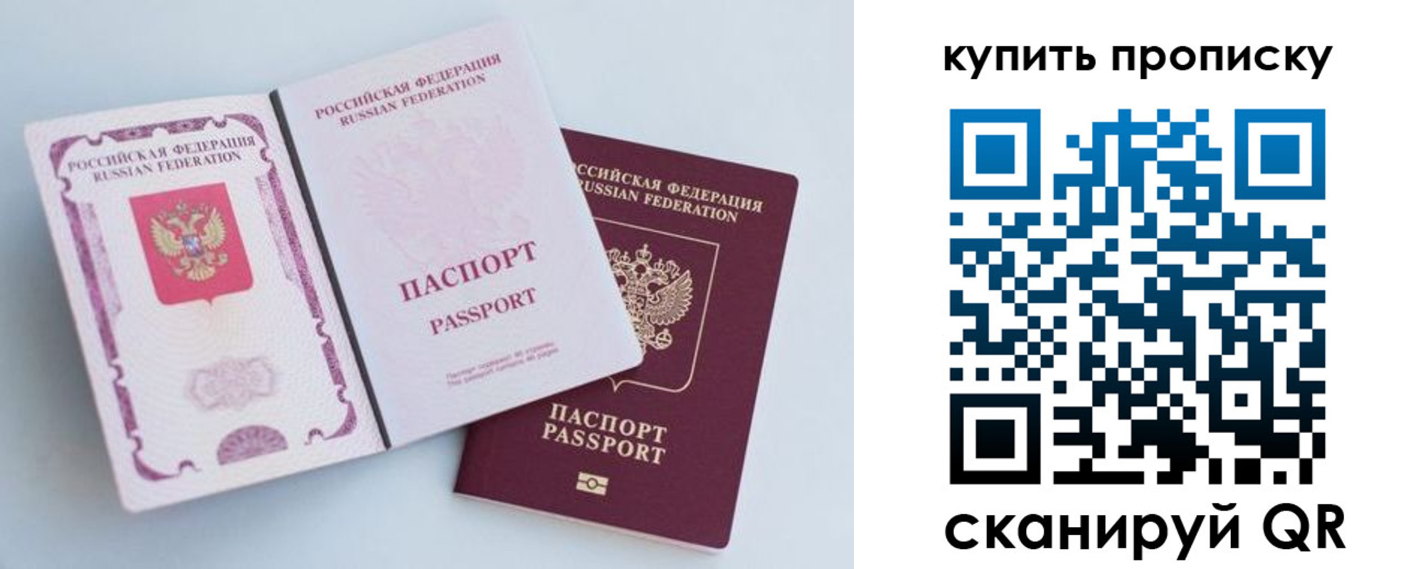 прописка паспорт в Полярных Зорях